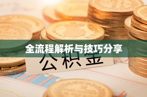 固镇全流程解析与技巧分享